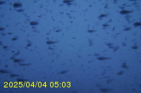Img20250404_050311.jpg