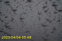 Img20250404_054811.jpg