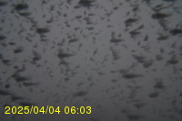 Img20250404_060311.jpg