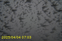 Img20250404_070311.jpg