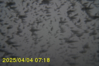 Img20250404_071811.jpg