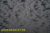 Img20250404_073311.jpg