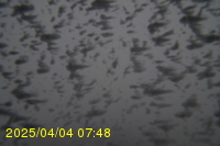 Img20250404_074812.jpg