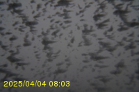 Img20250404_080312.jpg