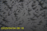 Img20250404_081812.jpg