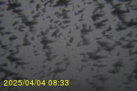 Img20250404_083312.jpg