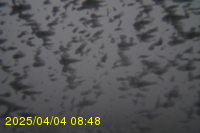 Img20250404_084812.jpg