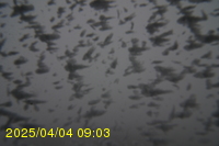 Img20250404_090312.jpg