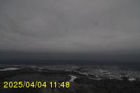 Img20250404_114812.jpg