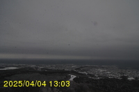 Img20250404_130312.jpg