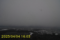 Img20250404_160312.jpg