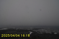 Img20250404_161812.jpg