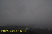 Img20250404_163312.jpg