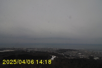 Img20250406_141817.jpg