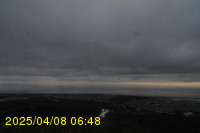 Img20250408_064822.jpg