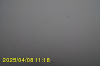 Img20250408_111823.jpg