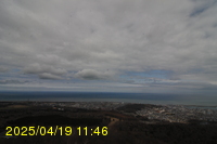 Img20250419_114651.jpg