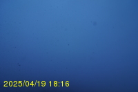 Img20250419_181652.jpg