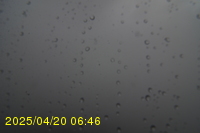 Img20250420_064653.jpg
