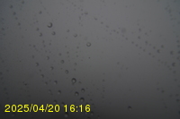 Img20250420_161654.jpg