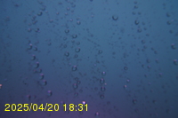 Img20250420_183154.jpg
