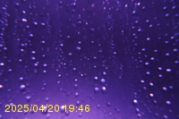 Img20250420_194655.jpg