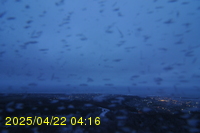 Img20250422_041658.jpg