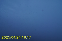 Img20250424_181705.jpg