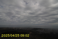Img20250425_090206.jpg