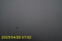 Img20250429_070217.jpg