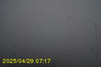 Img20250429_071717.jpg