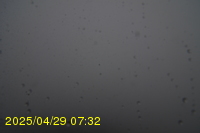 Img20250429_073217.jpg
