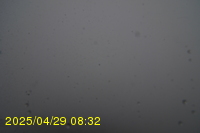 Img20250429_083217.jpg