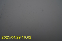 Img20250429_100217.jpg