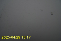 Img20250429_101717.jpg