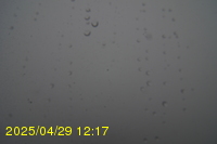 Img20250429_121717.jpg