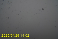 Img20250429_140218.jpg