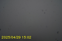 Img20250429_150218.jpg