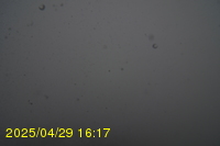 Img20250429_161718.jpg