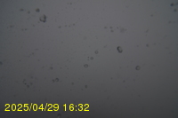 Img20250429_163218.jpg
