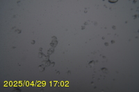 Img20250429_170218.jpg