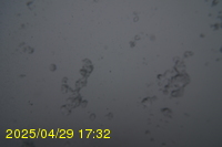 Img20250429_173218.jpg
