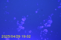 Img20250429_190218.jpg
