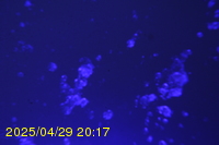 Img20250429_201718.jpg