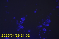 Img20250429_210218.jpg