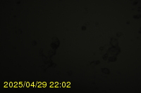 Img20250429_220218.jpg