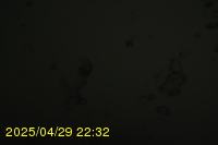 Img20250429_223218.jpg