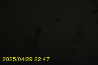 Img20250429_224718.jpg