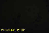 Img20250429_233218.jpg