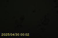 Img20250430_000218.jpg